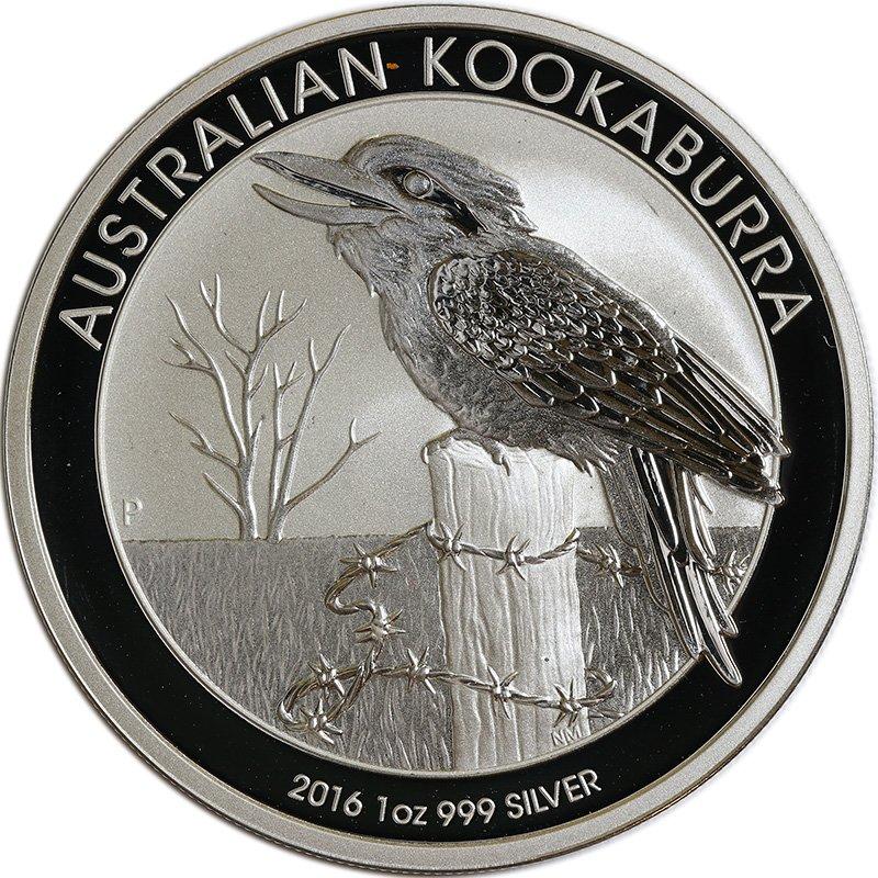 kookaburra-2016-original