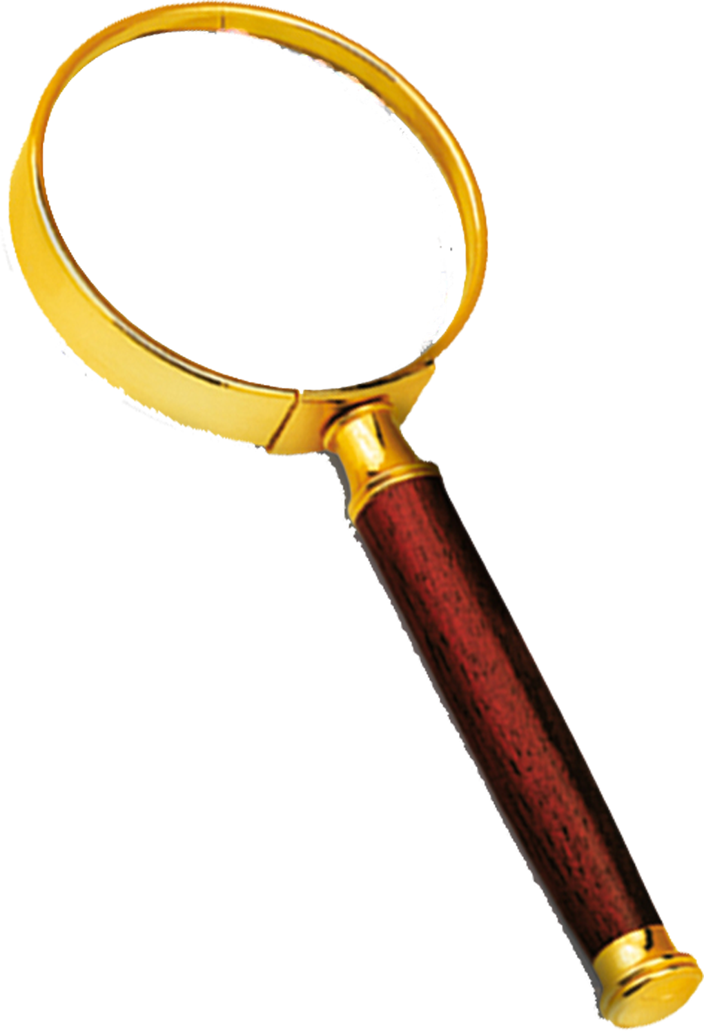 La Loupe numismatique 