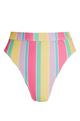 Multicoloured Stripe Bikini Bottoms