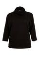Curve Black Ribbed Roll Neck Top