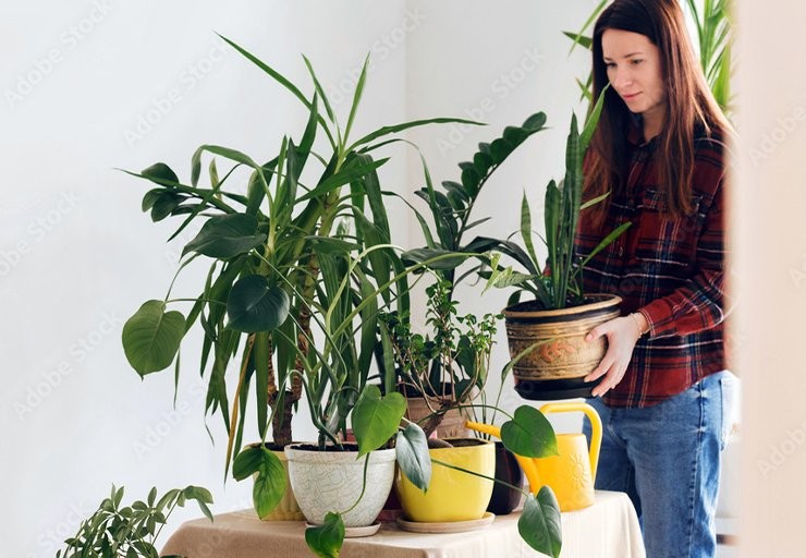 woman taking care of plants at home