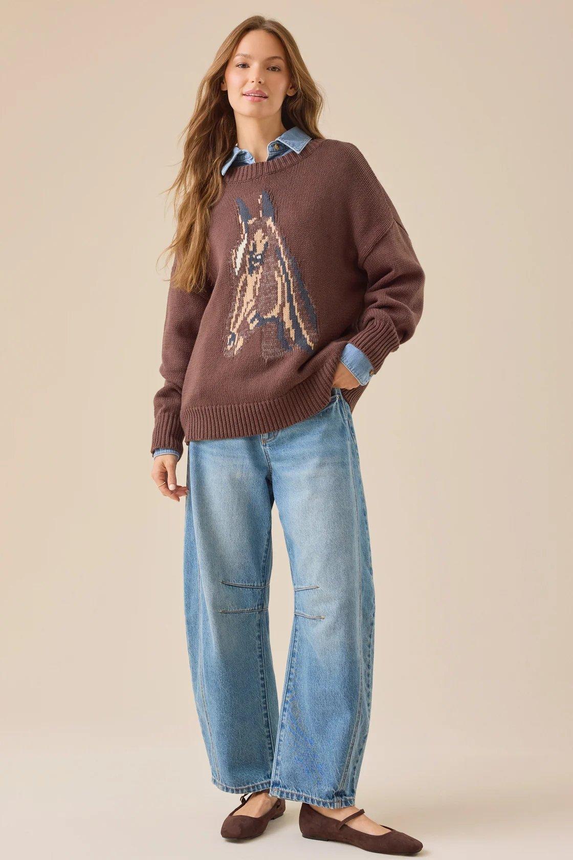 brown sweater with a horse design