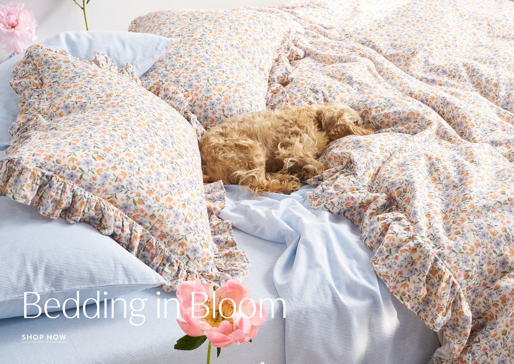 Shop Comfy and Cozy Bedding