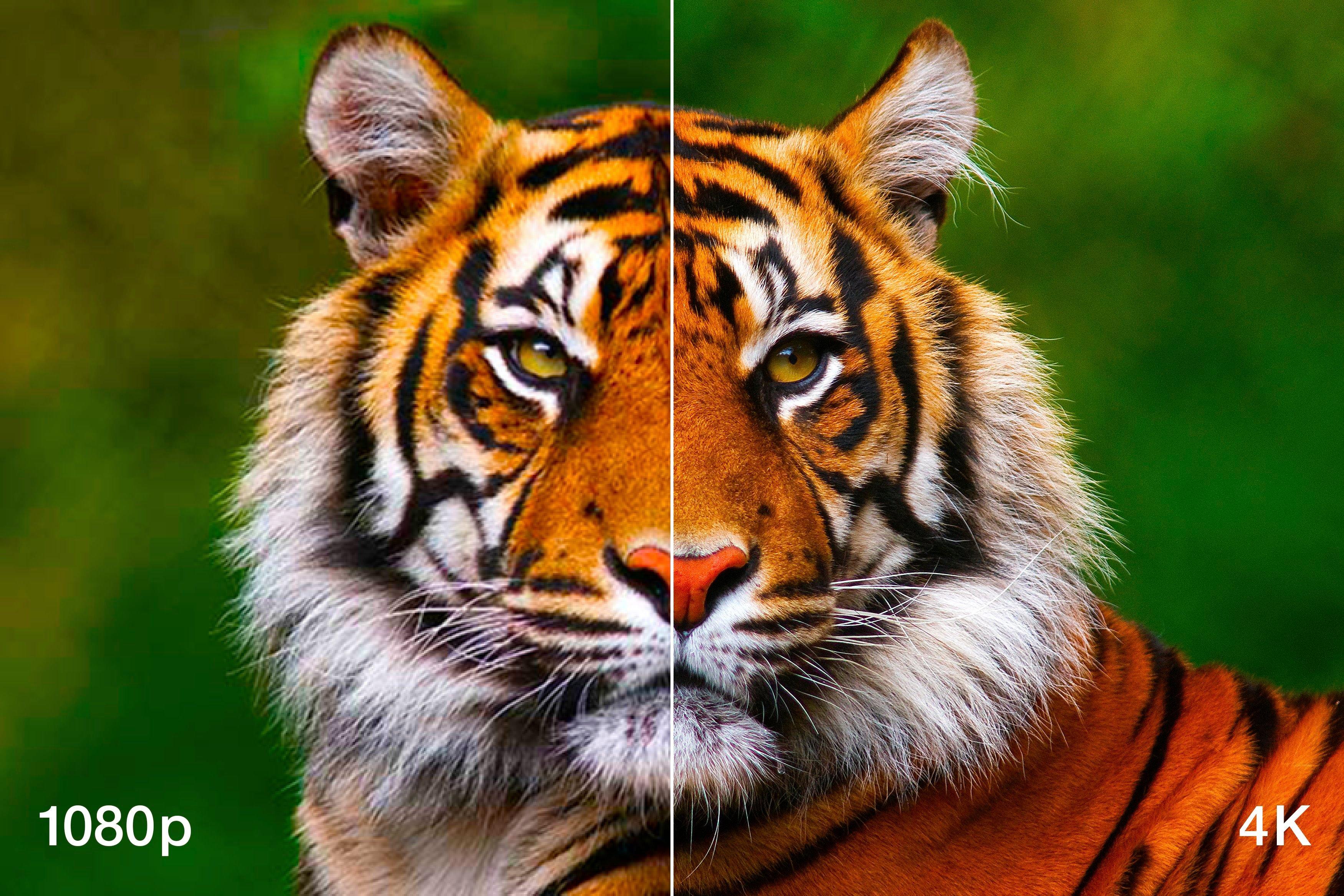 EH-LS12000B| Home Cinema | Projectors | Products | Epson | Panoramix