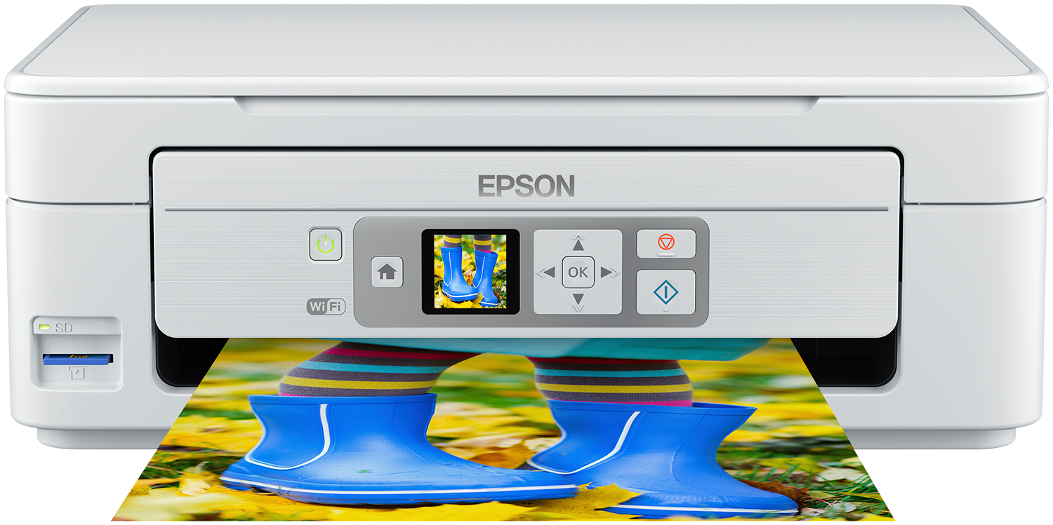 Epson xp store