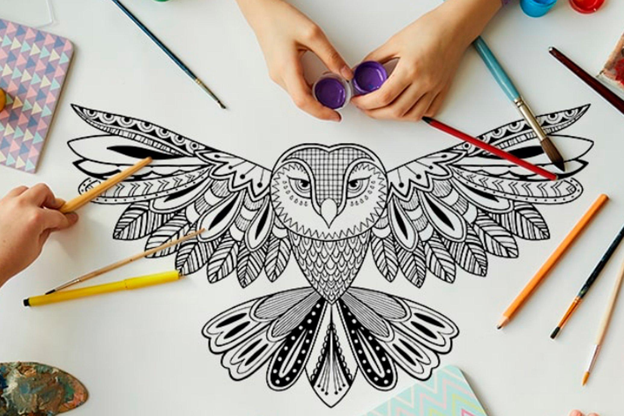 A line drawing of an owl with colouring pencils scattered around it
