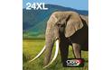 Multipack 6 colori T24XL Claria Photo HD in confezione Easy Mail Packaging