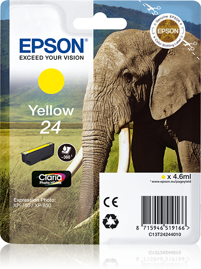 Singlepack Yellow 24 Claria Photo HD Ink