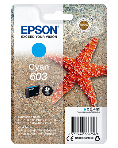 Epson Original-Tintenpatronen-Pack 603XL C13T03A14010