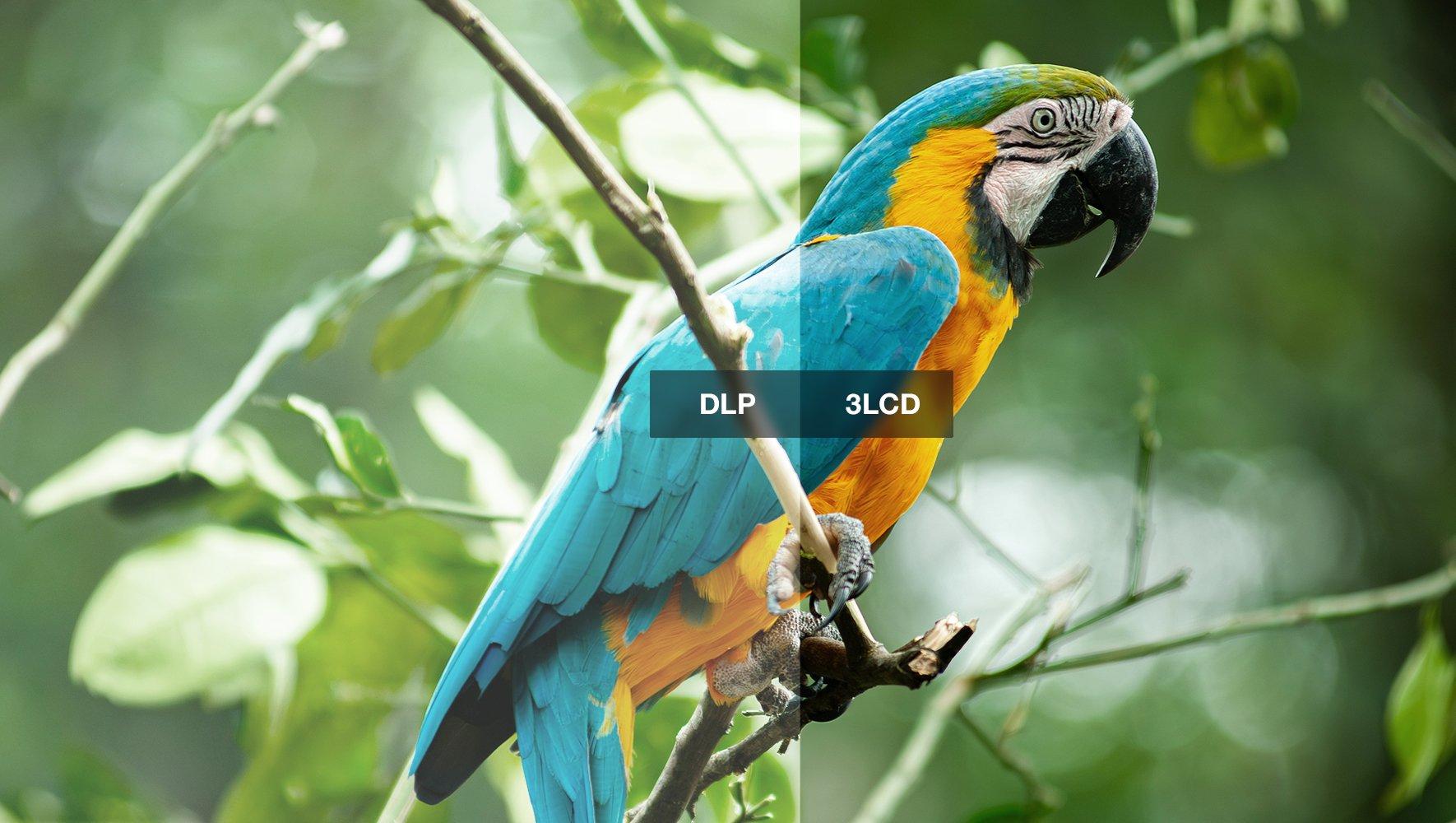 a blue and yellow parrot sitting on a branch in a tree