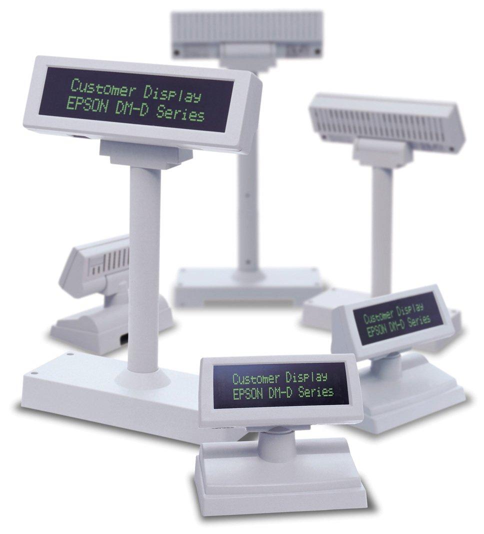 Epson DM-D110BF: Stand-alone type with DP-110 and extension pole