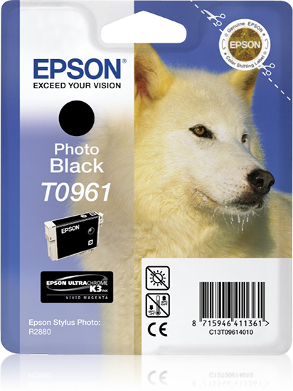 Singlepack Photo Black T0961
