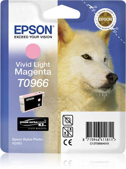 Singlepack Vivid Light Magenta T