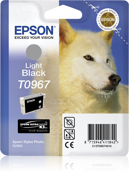 Singlepack Light Black T0967