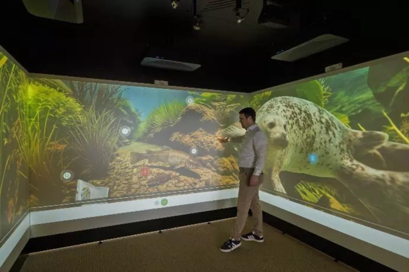 Das immersive Lernhaus miri im Kulturforum Hanau: Wo Projektionen MINT-Themen erlebbar machen