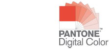 Pantone Digital Color logo