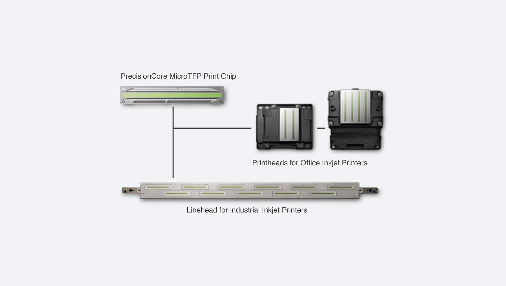 For Business | PrecisionCore - Overview | Epson Europe