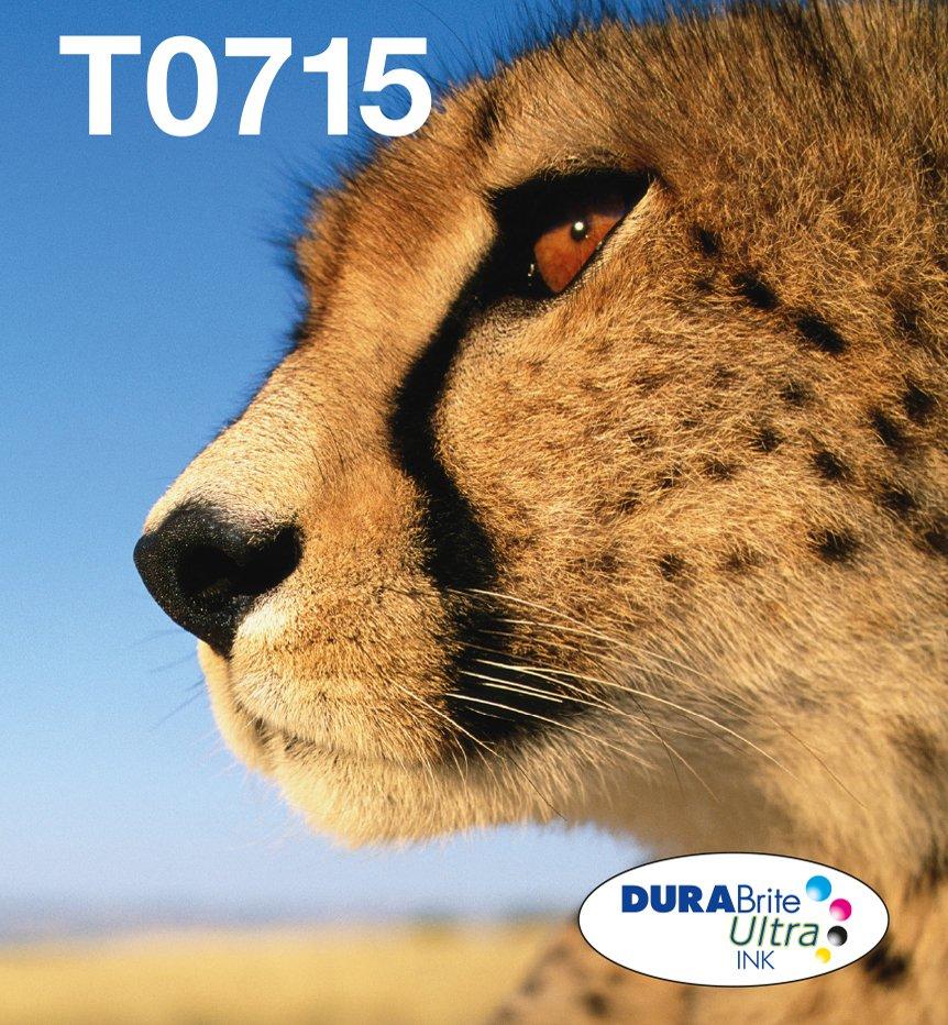 T0713 Gepard DURABrite Ultra Single Magenta Tinte | Tintenpatronen | Tinte  & Papier | Produkte | Epson Deutschland