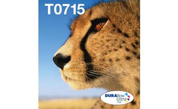 T0713 Gepard DURABrite Ultra Single Magenta Tinte | Tintenpatronen | Tinte  & Papier | Produkte | Epson Deutschland
