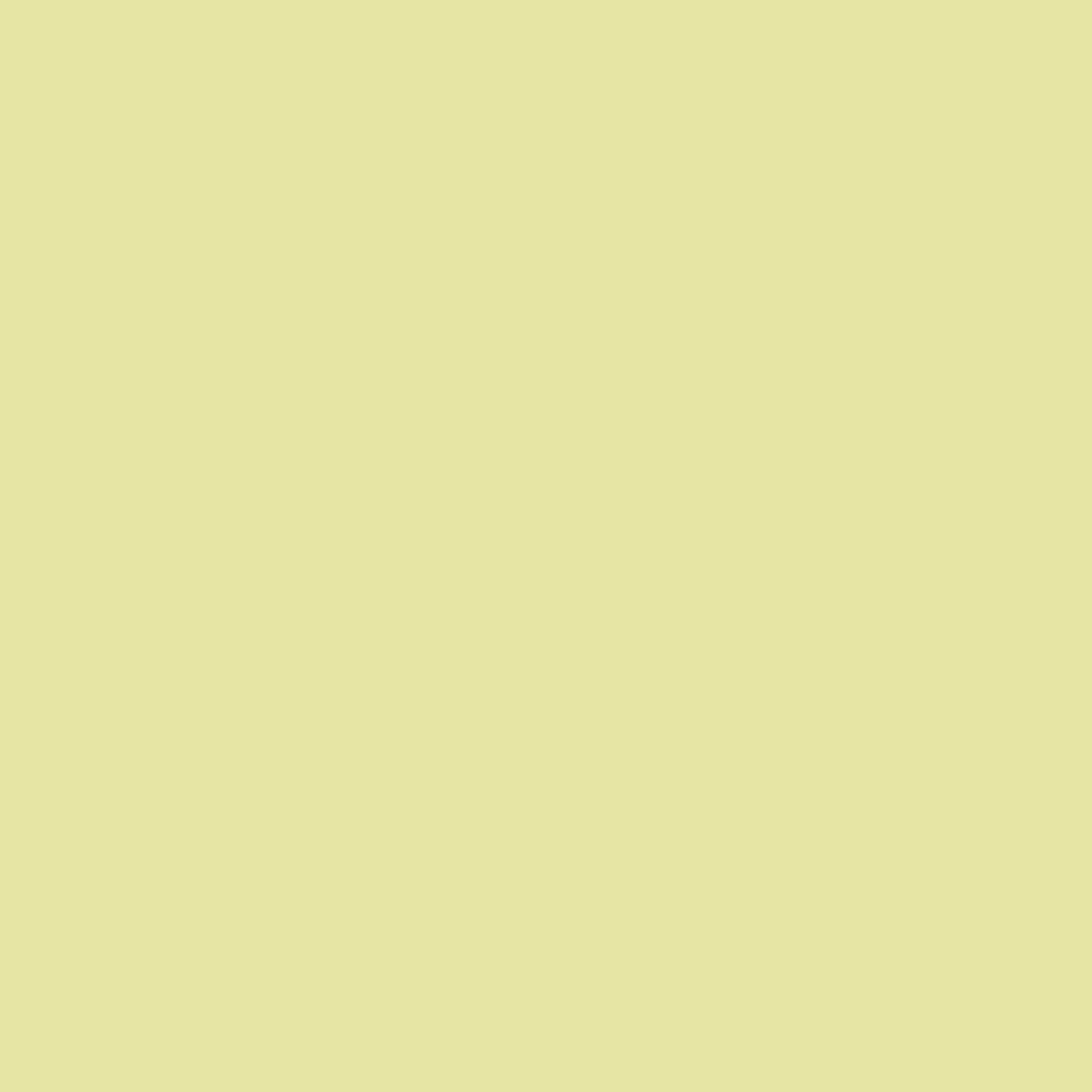 Urban White Lime
