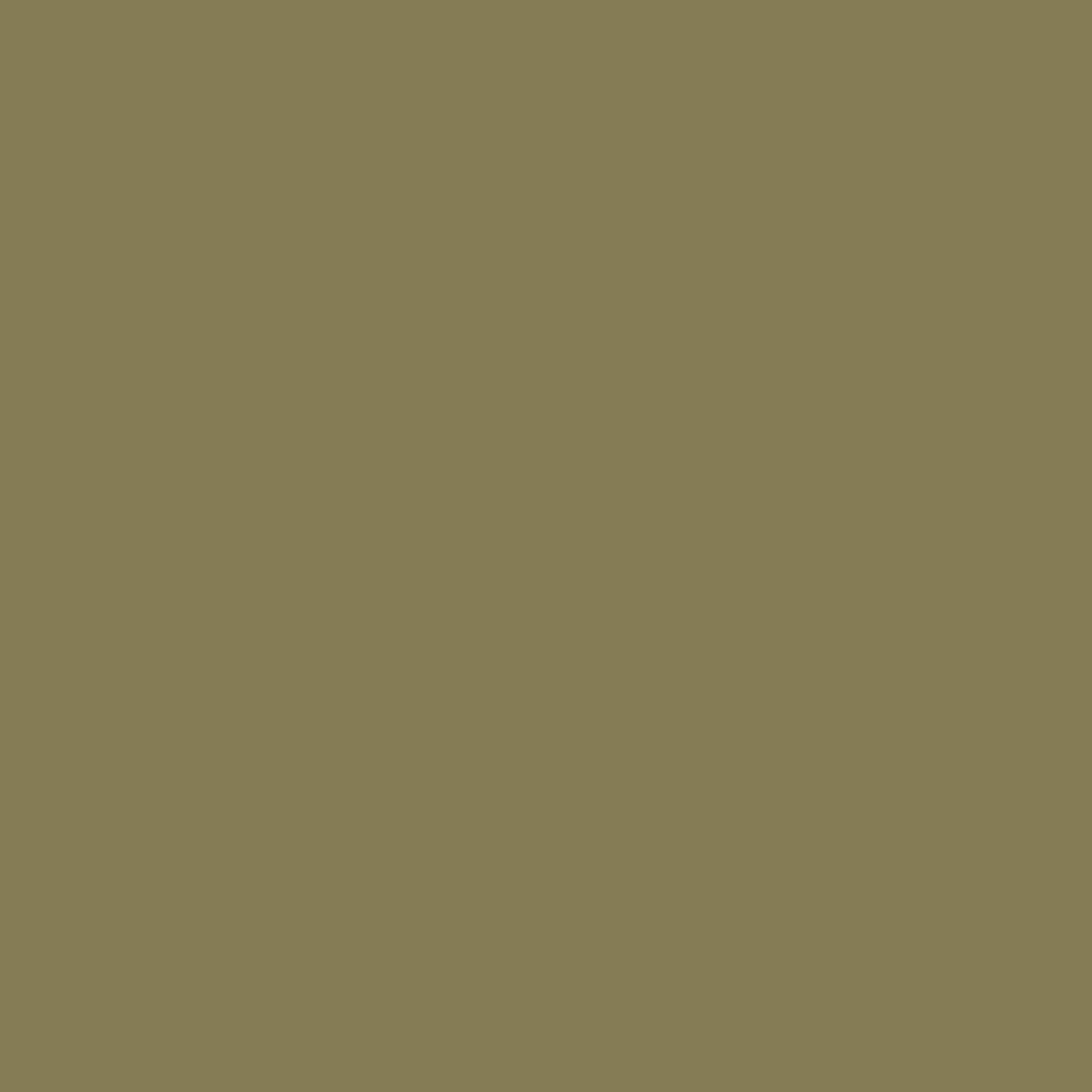 Vert camouflage
