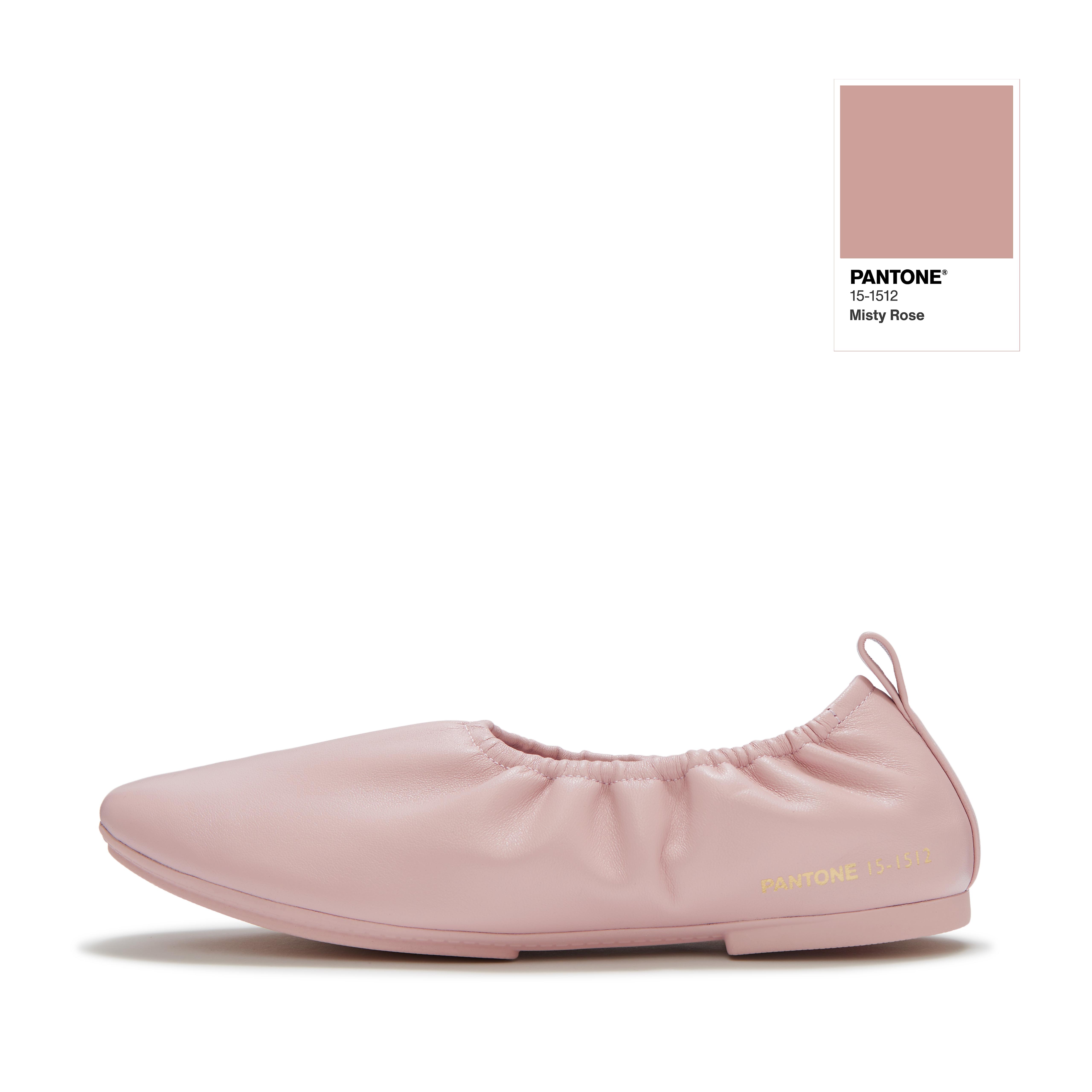 DELICATO PANTONE Poise Leather Ballerinas