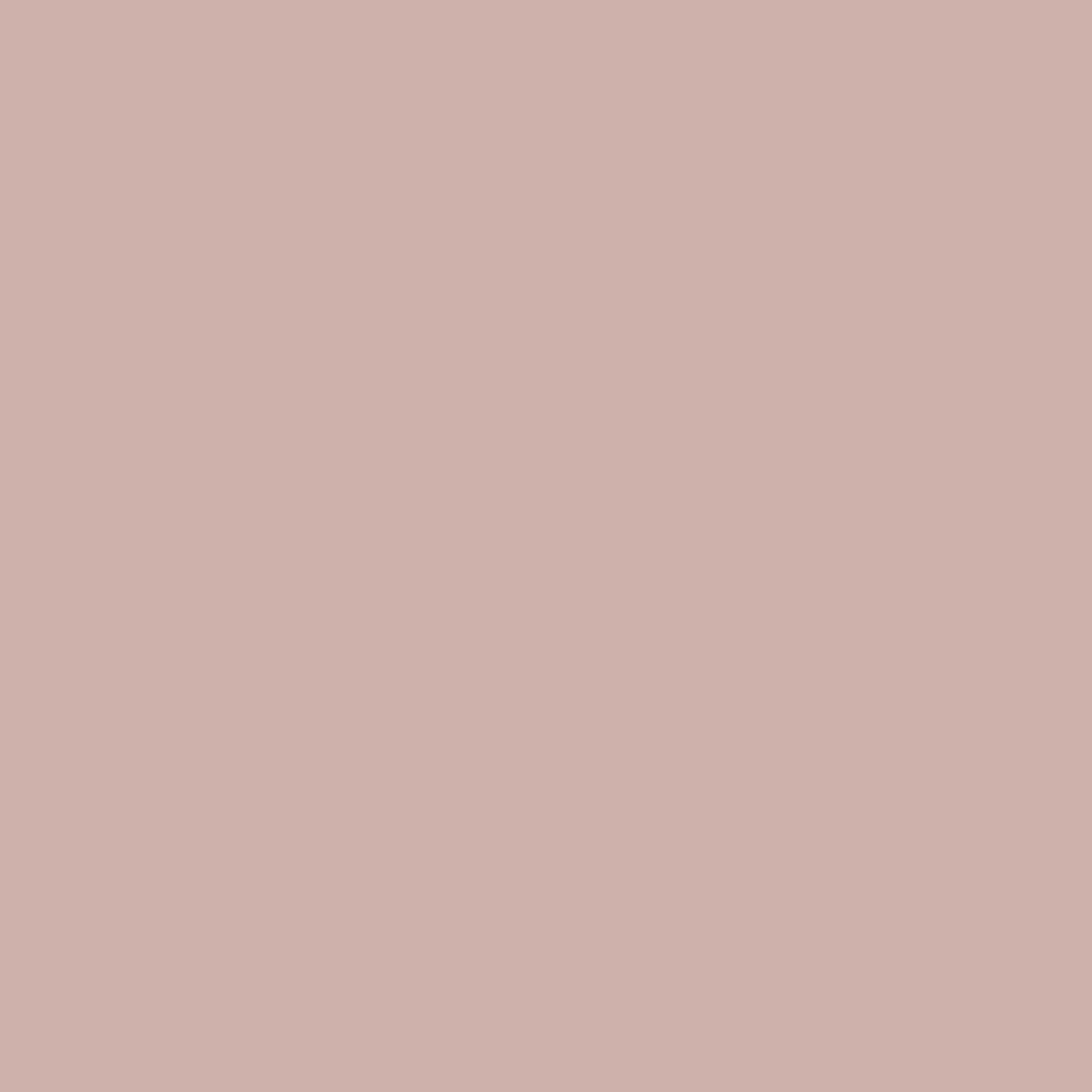 Nude-Mix