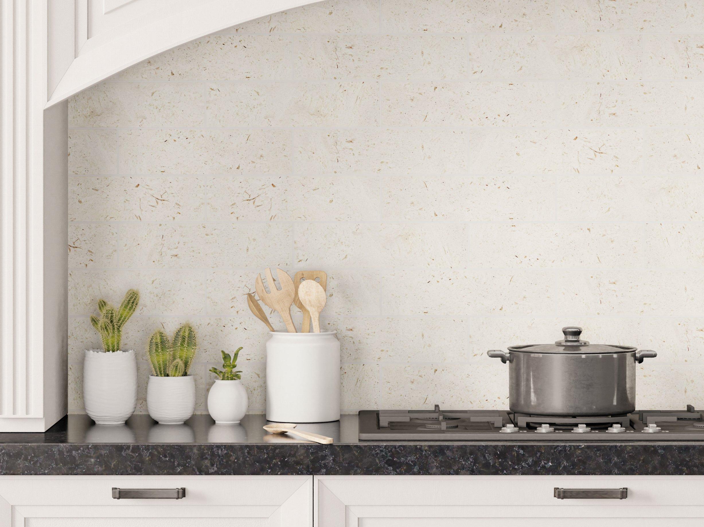 Honed Fossil Stone Relief Tile Backsplashes, Beige Limestone Kitchen  Accessories from United States 