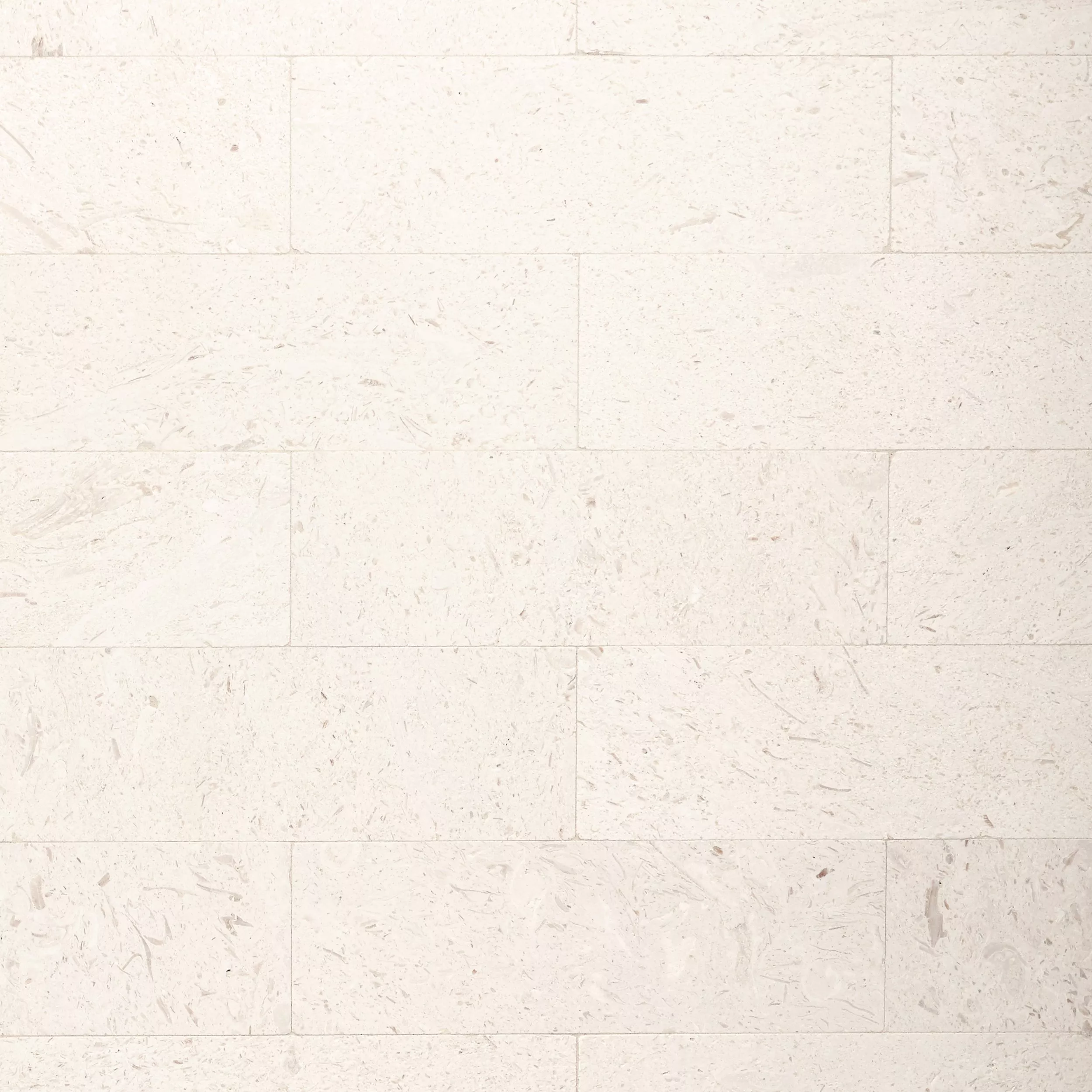 Fossil Brushed Limestone Tile