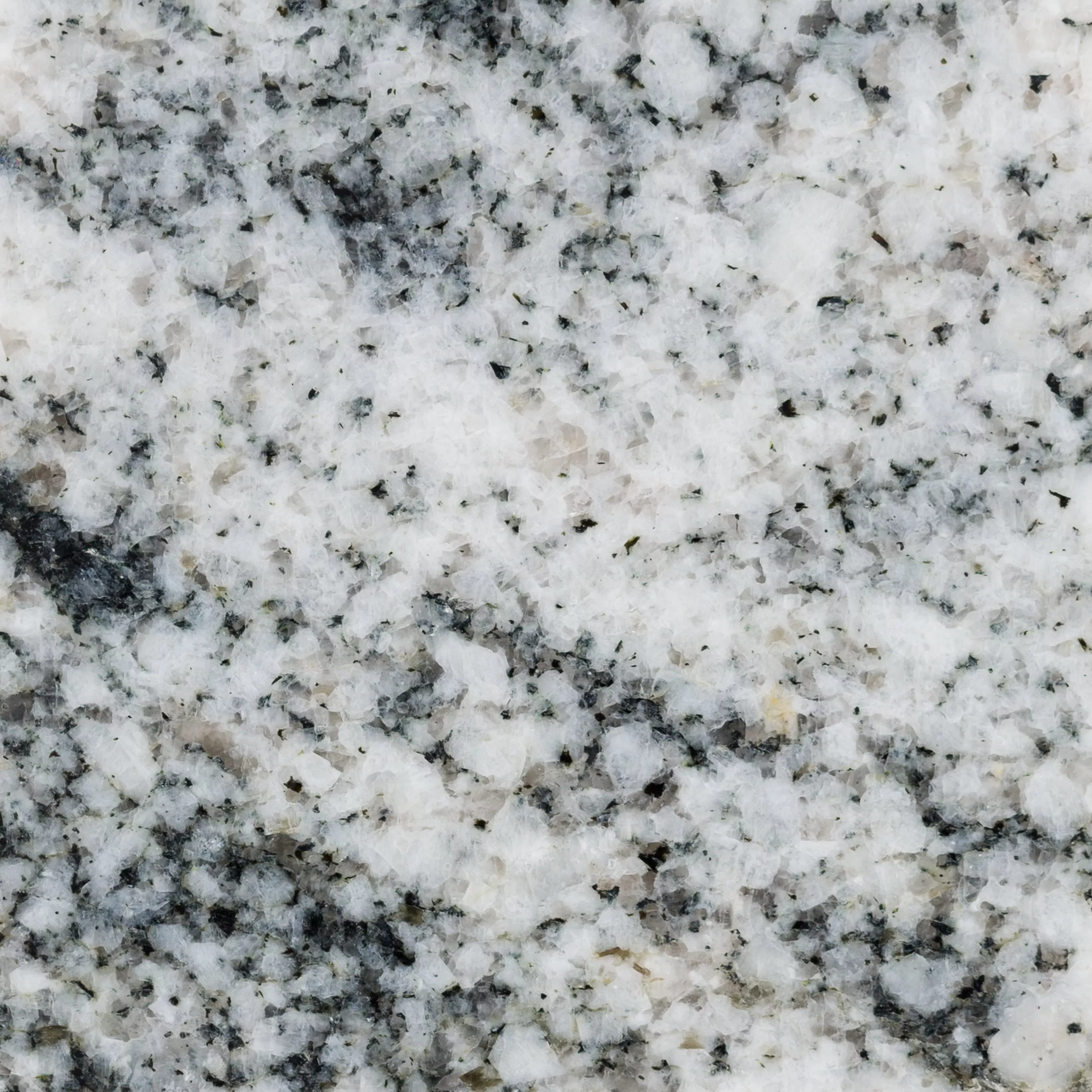 Ready To Install Silver Cloud Granite Slab Includes Backsplash