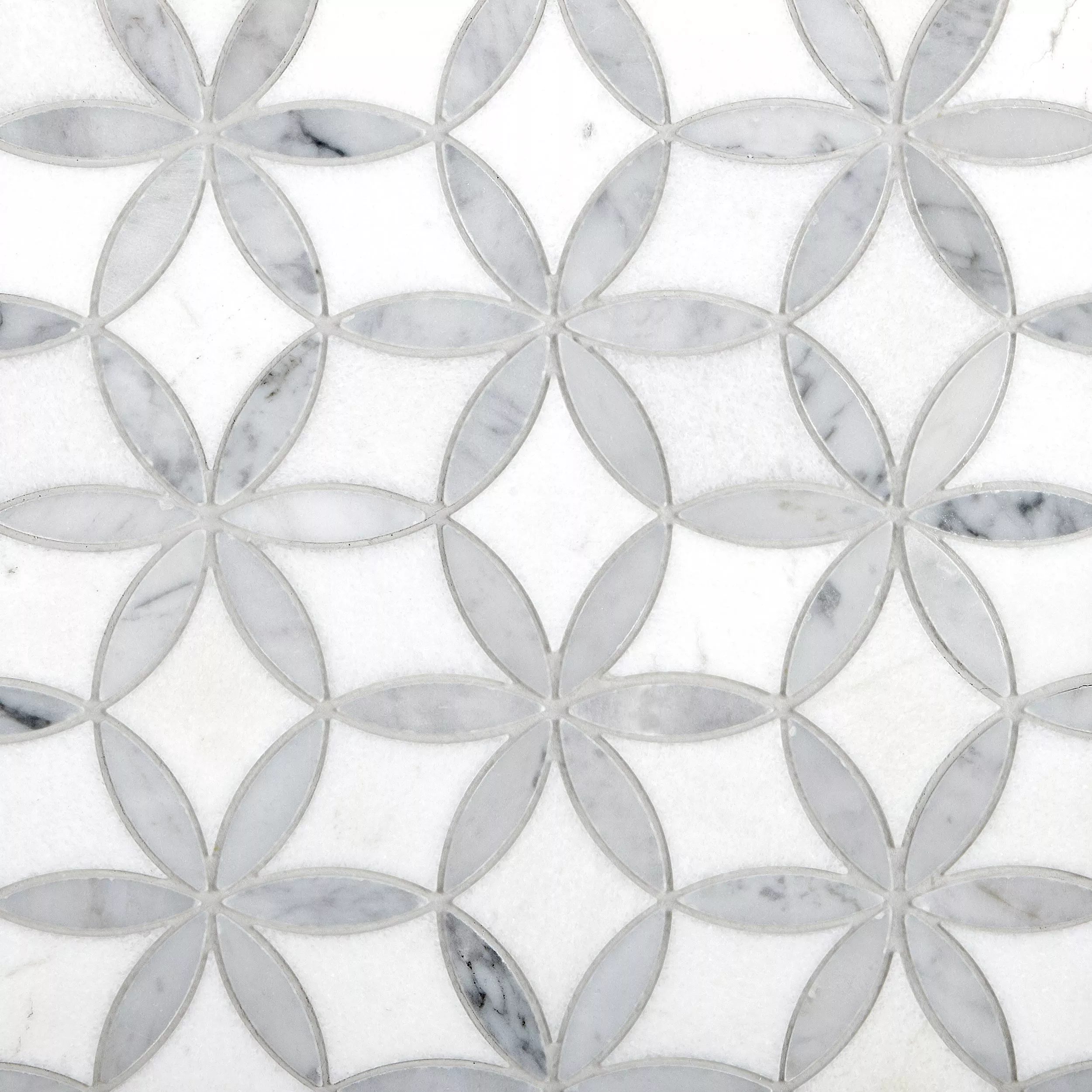Millefort Thassos Bianco Waterjet Polished Marble Mosaic