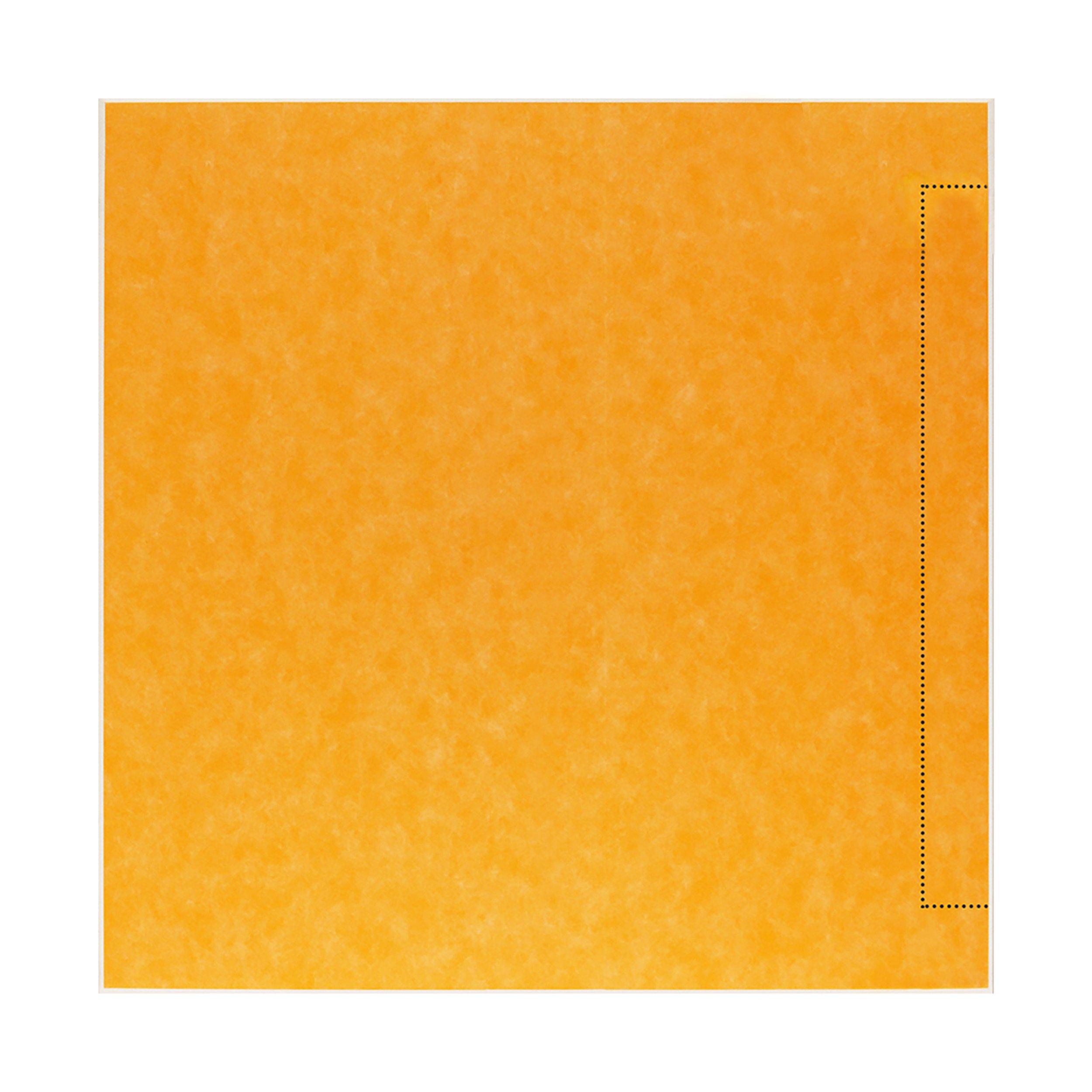 Schluter Kerdi-Shower Side Linear Tray 39in. x 39in.
