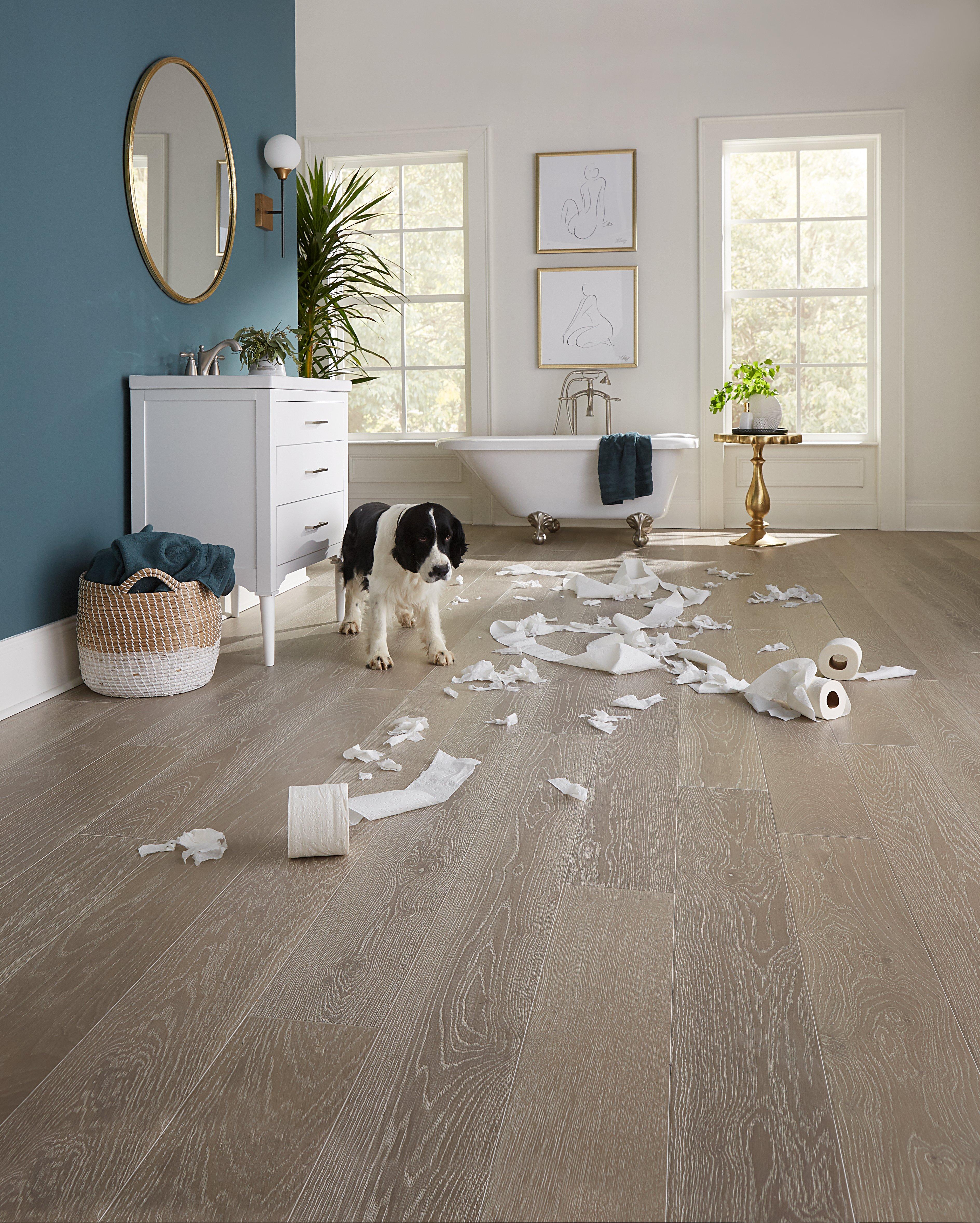 Hardwood Canada Wide Plank Collection White Oak - WIRE BRUSHED