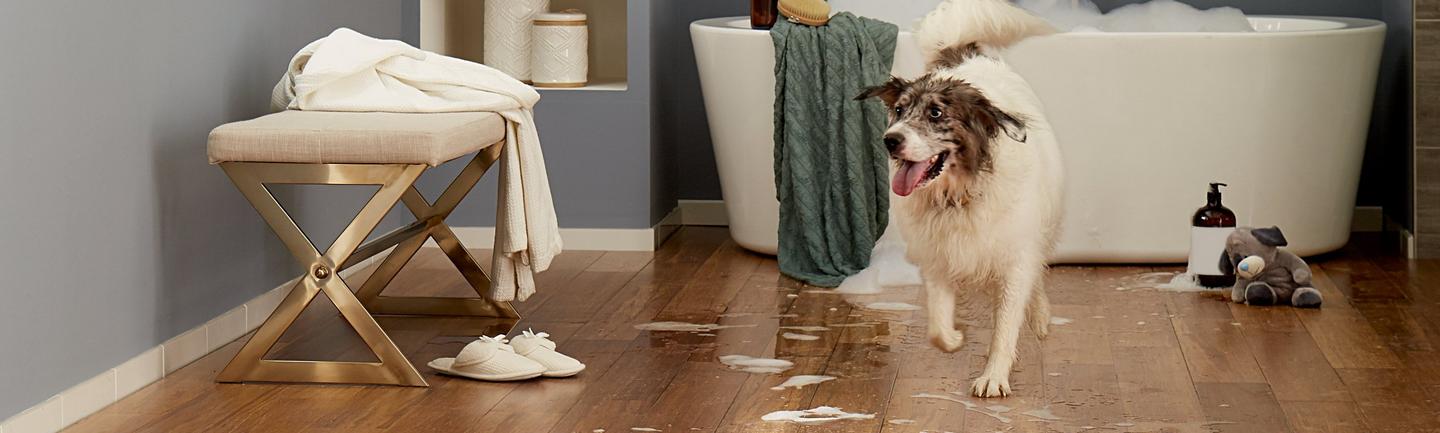 Vinyl Flooring for Dogs & Pets | Pet Proof Vinyl Plank & Tile