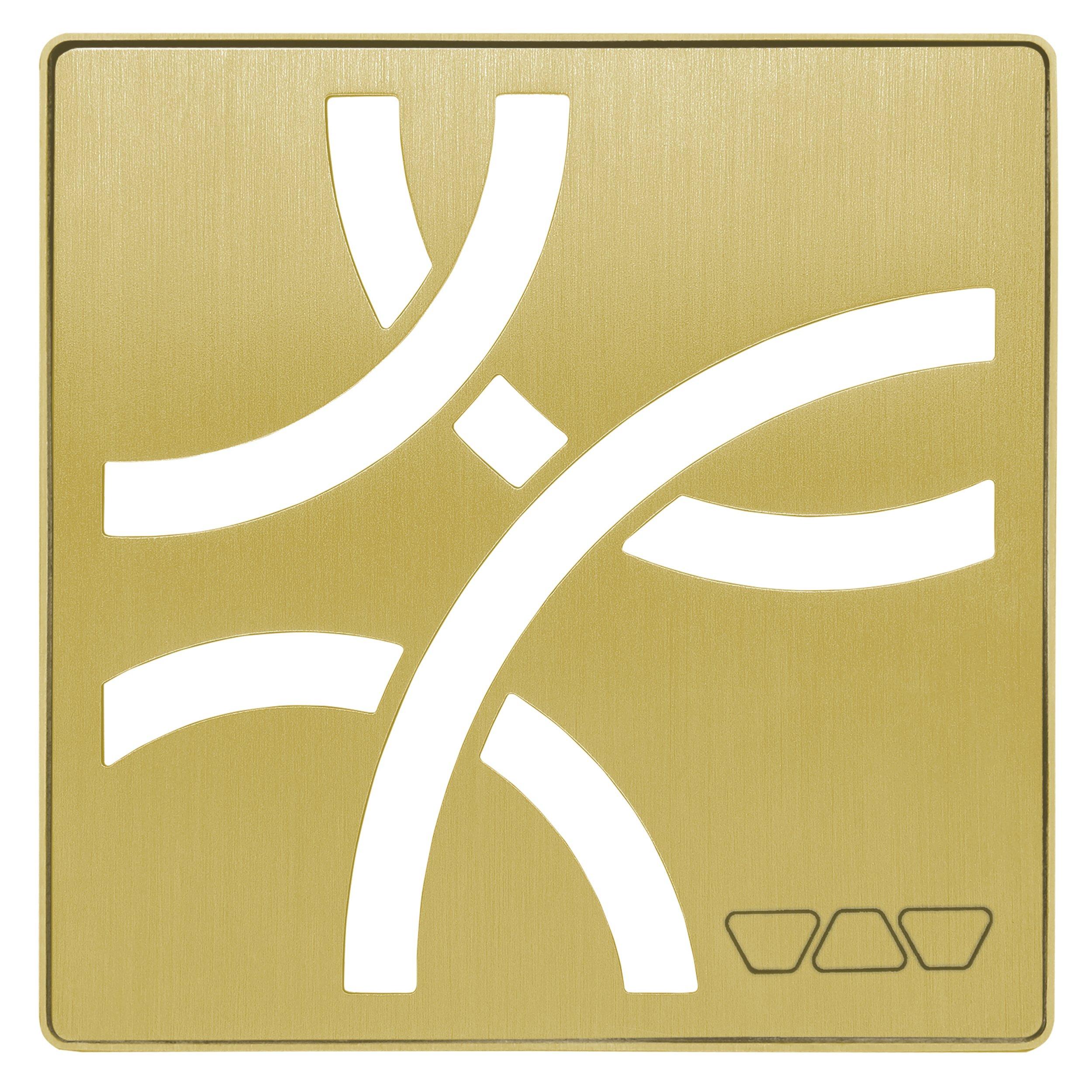 Schluter Kerdi-Drain 4in. Grate Classic Gold