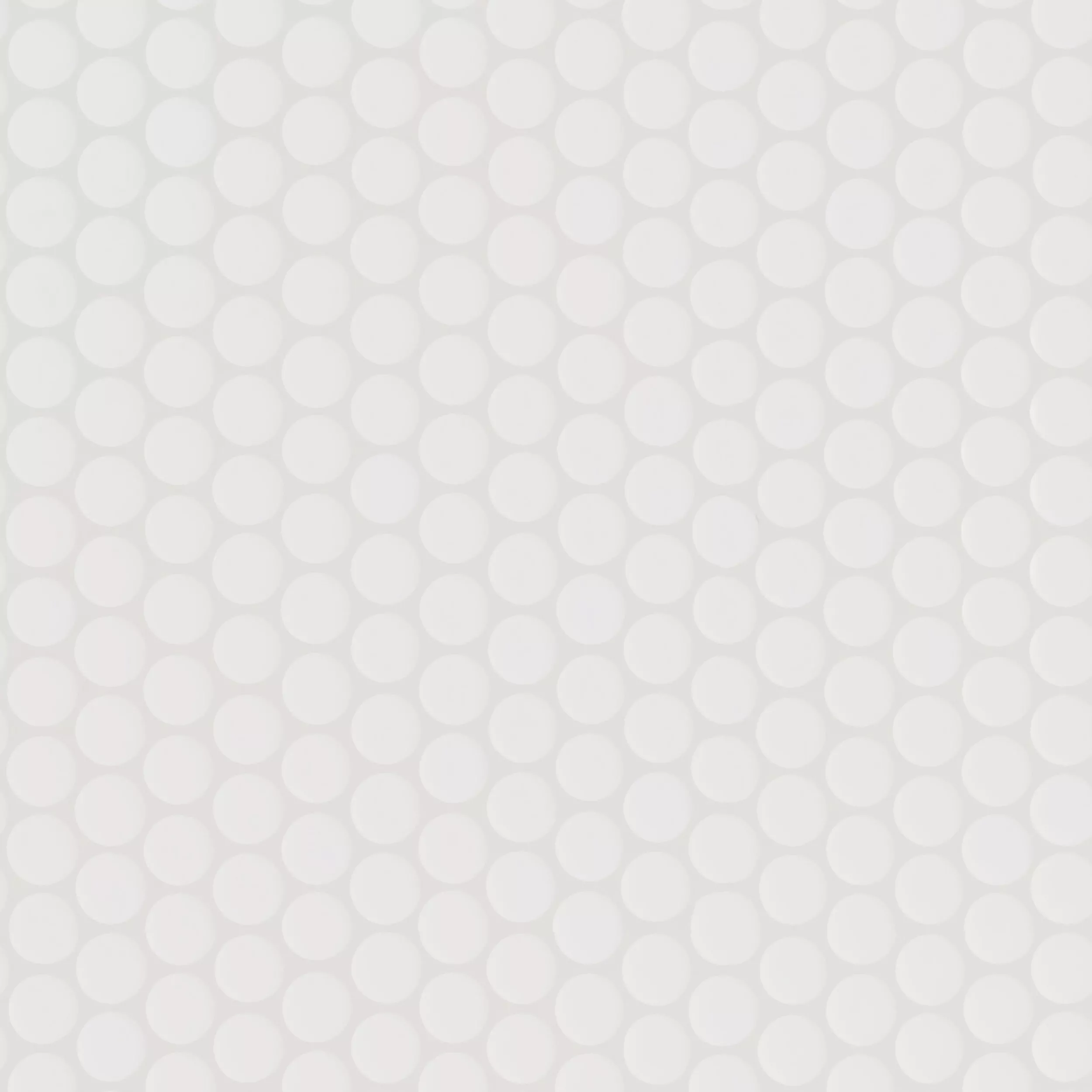 Penny White Polished Porcelain Mosaic