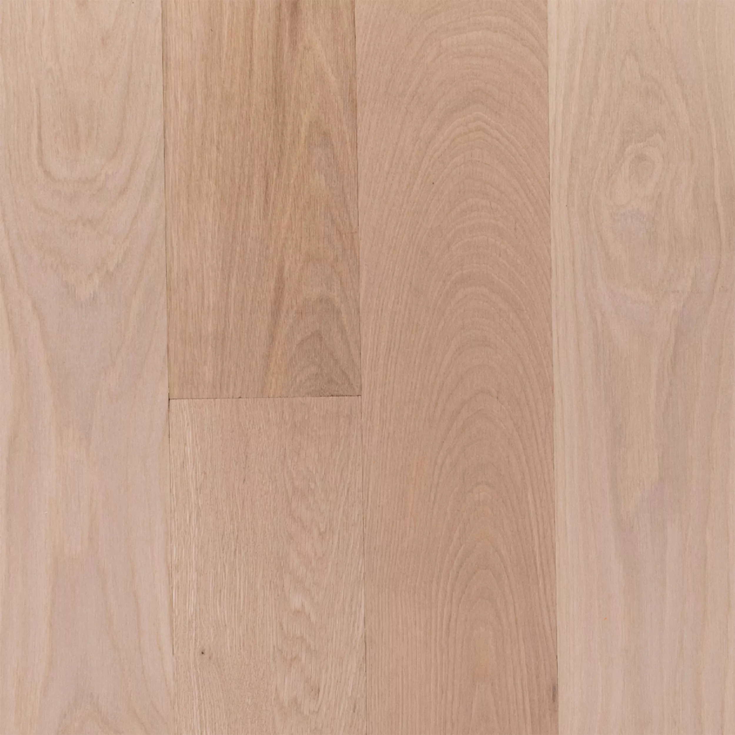 Unfinished White Oak Engineered Hardwood Select Grade