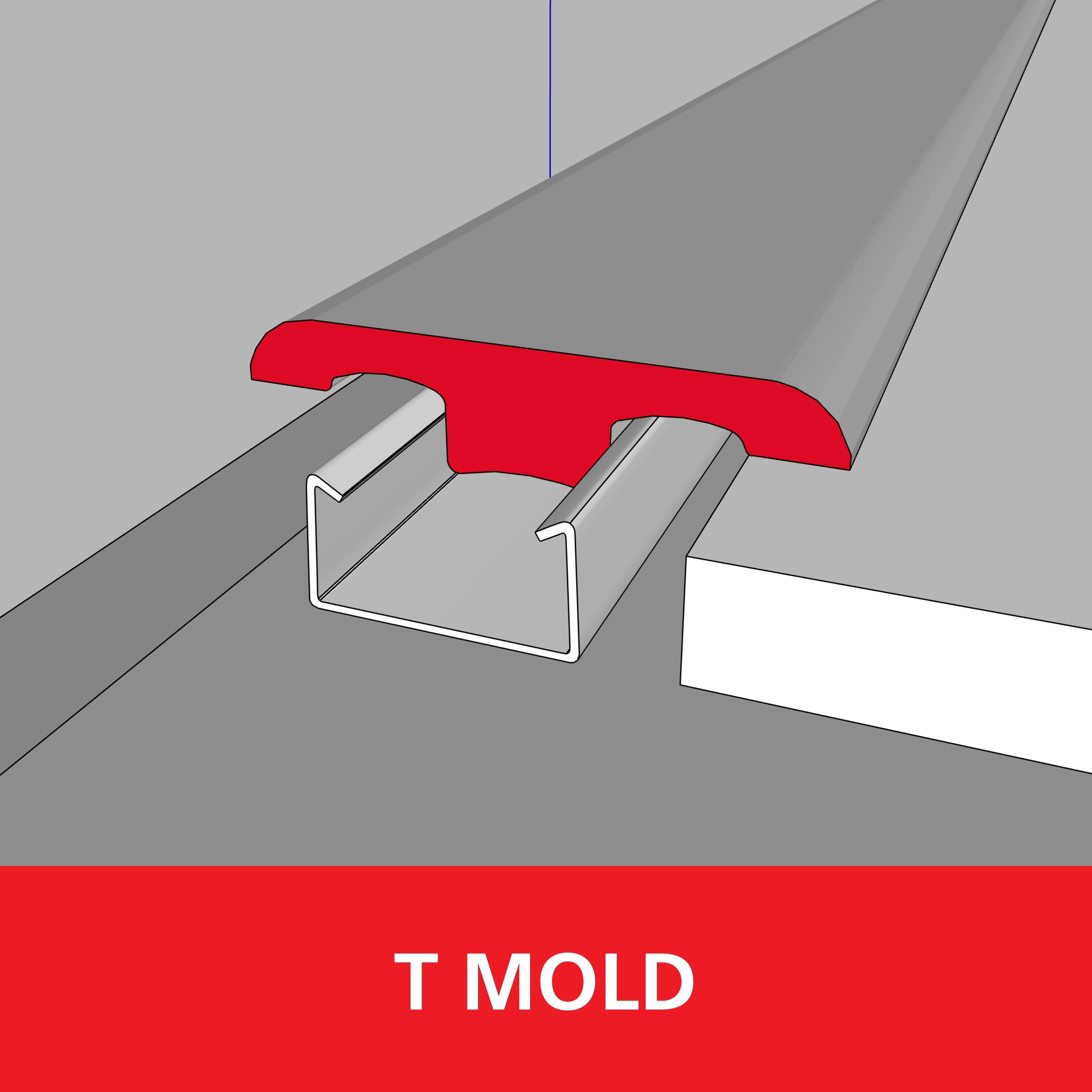 Color 5300F 1/4in. Vinyl T Mold