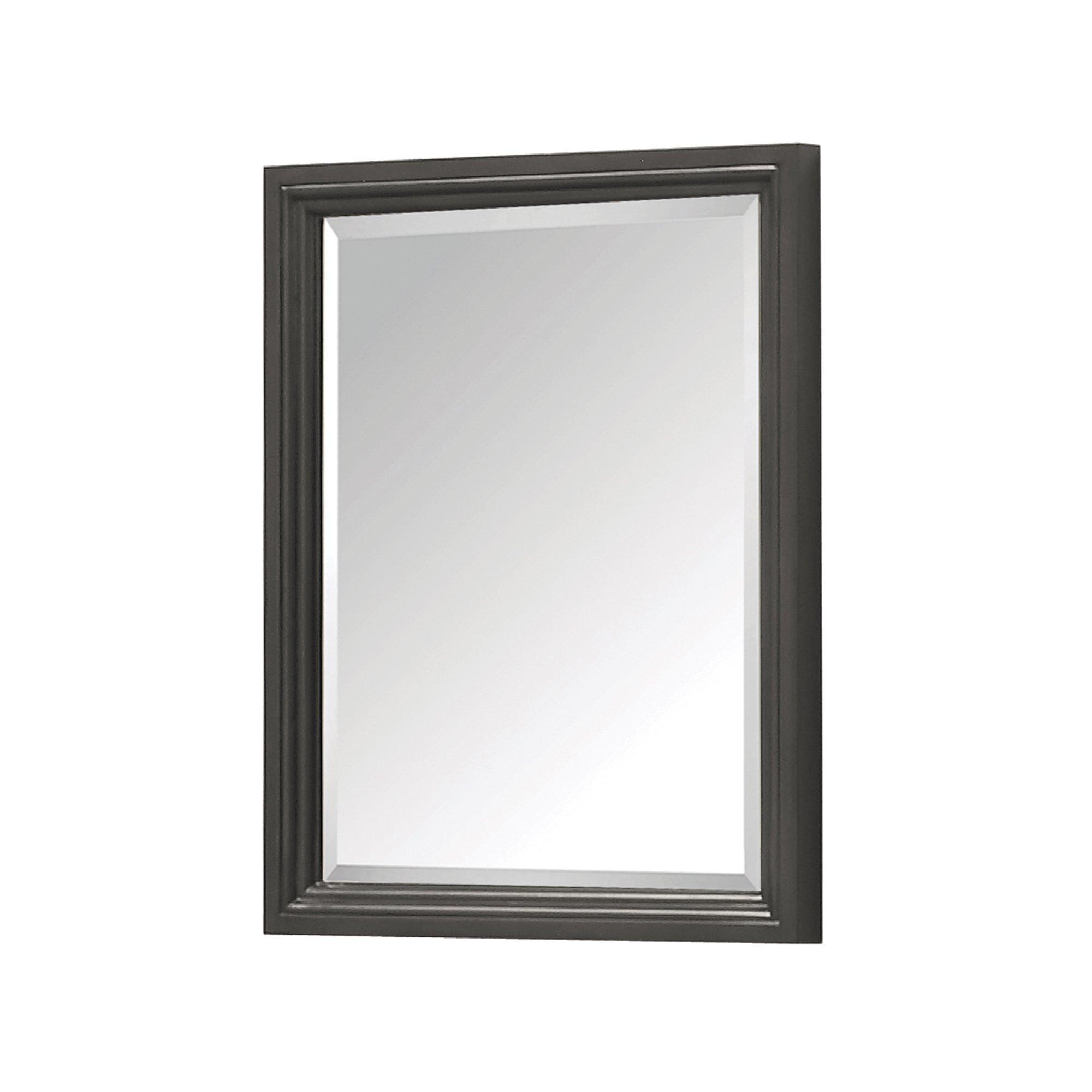 Tompkins Gray 24 in. Mirror