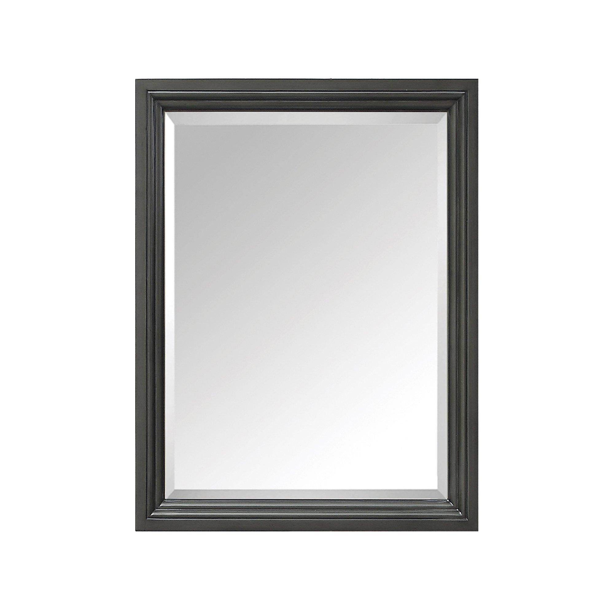 Tompkins Gray 24 in. Mirror