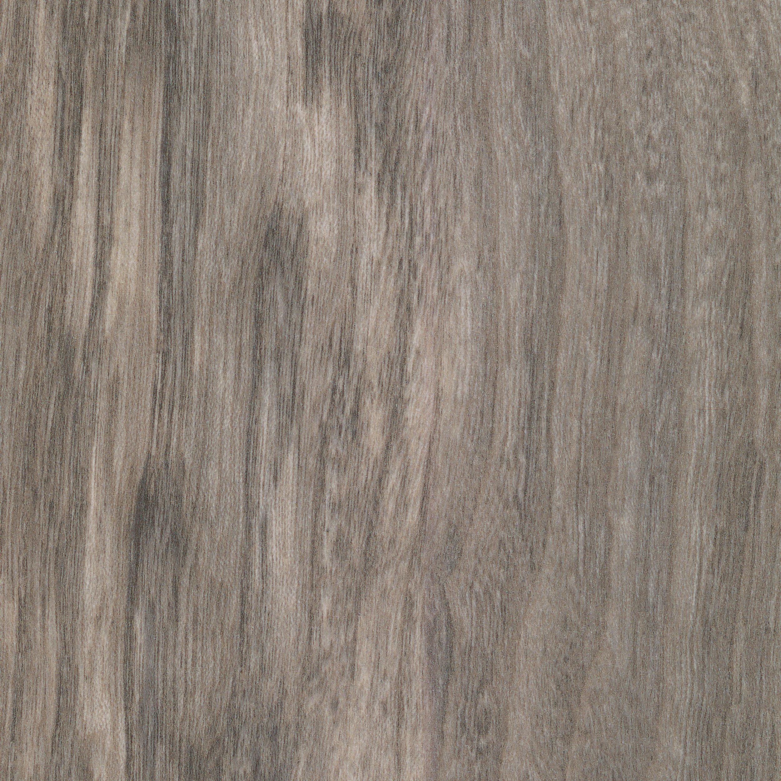 Calming Elm Fawn 94in. Laminate T Mold