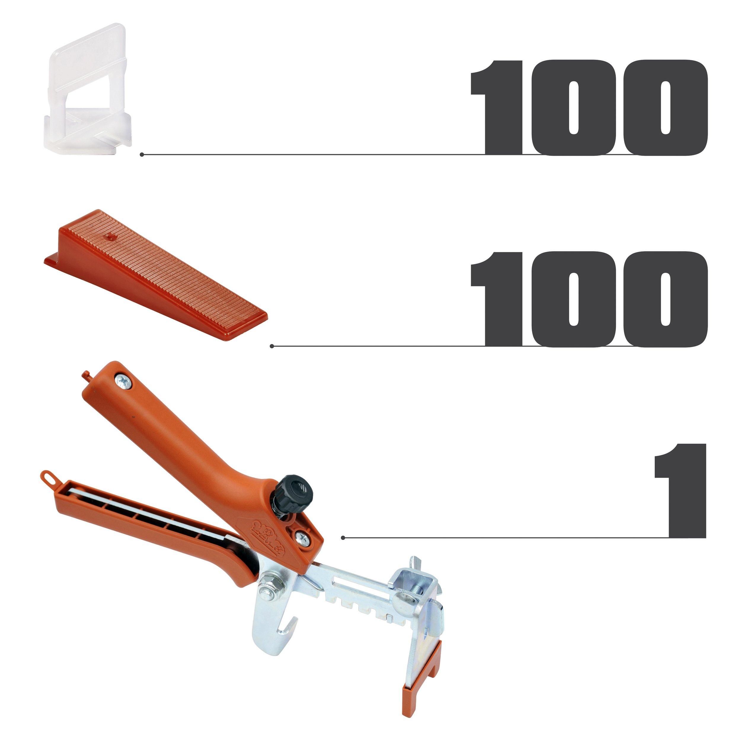 Raimondi RLS Level System Kit