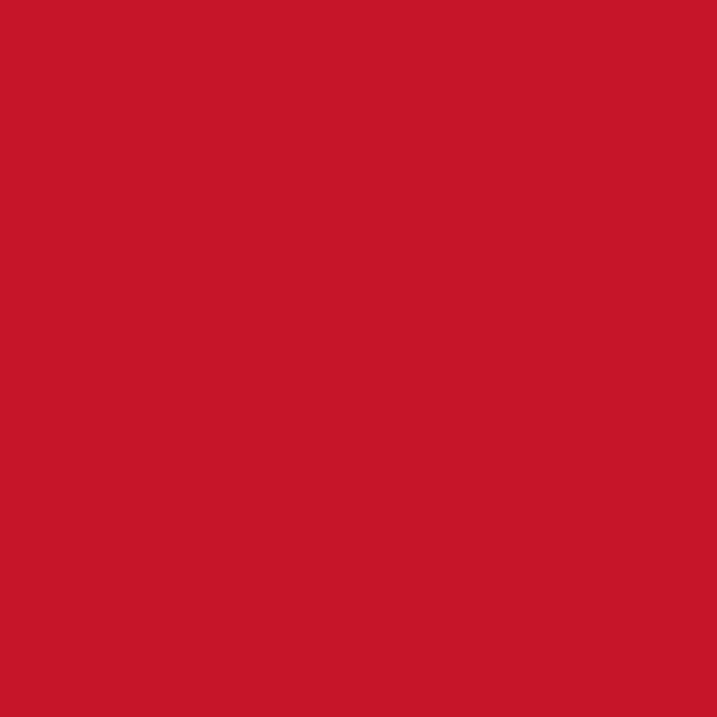 Swisstrax Racing Red Pro Corner 4 Pack