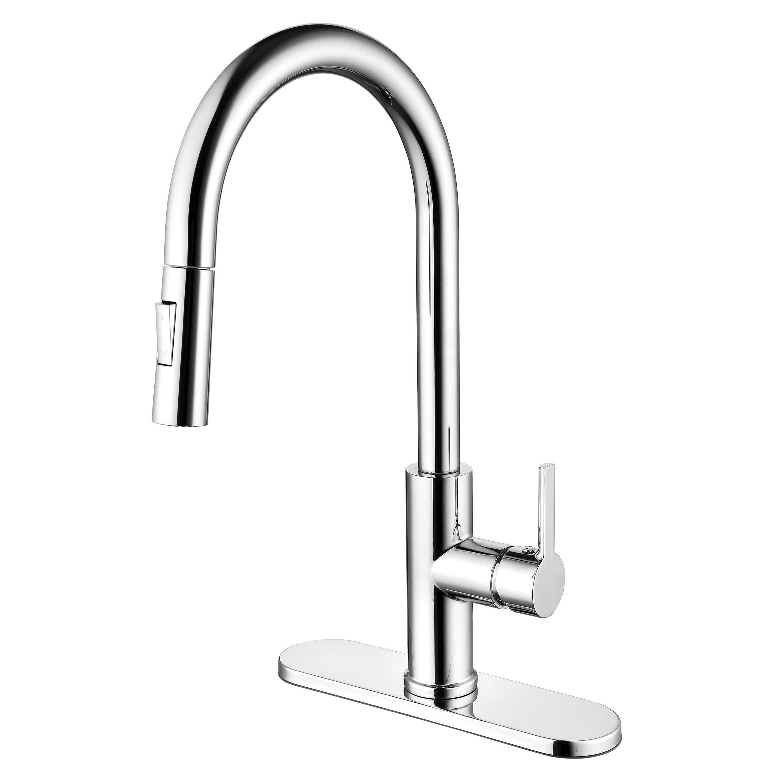 Rhiver Pull Down Chrome Kitchen Faucet