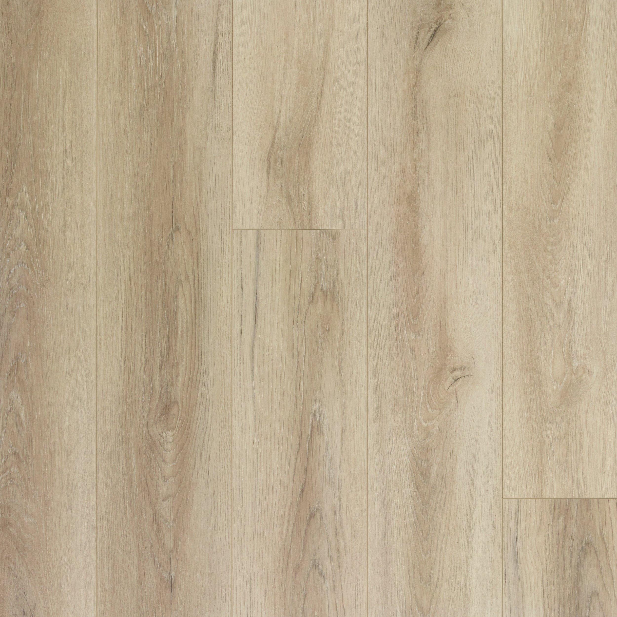 Amsterdam Ash Rigid Core Luxury Vinyl Plank - Cork Back