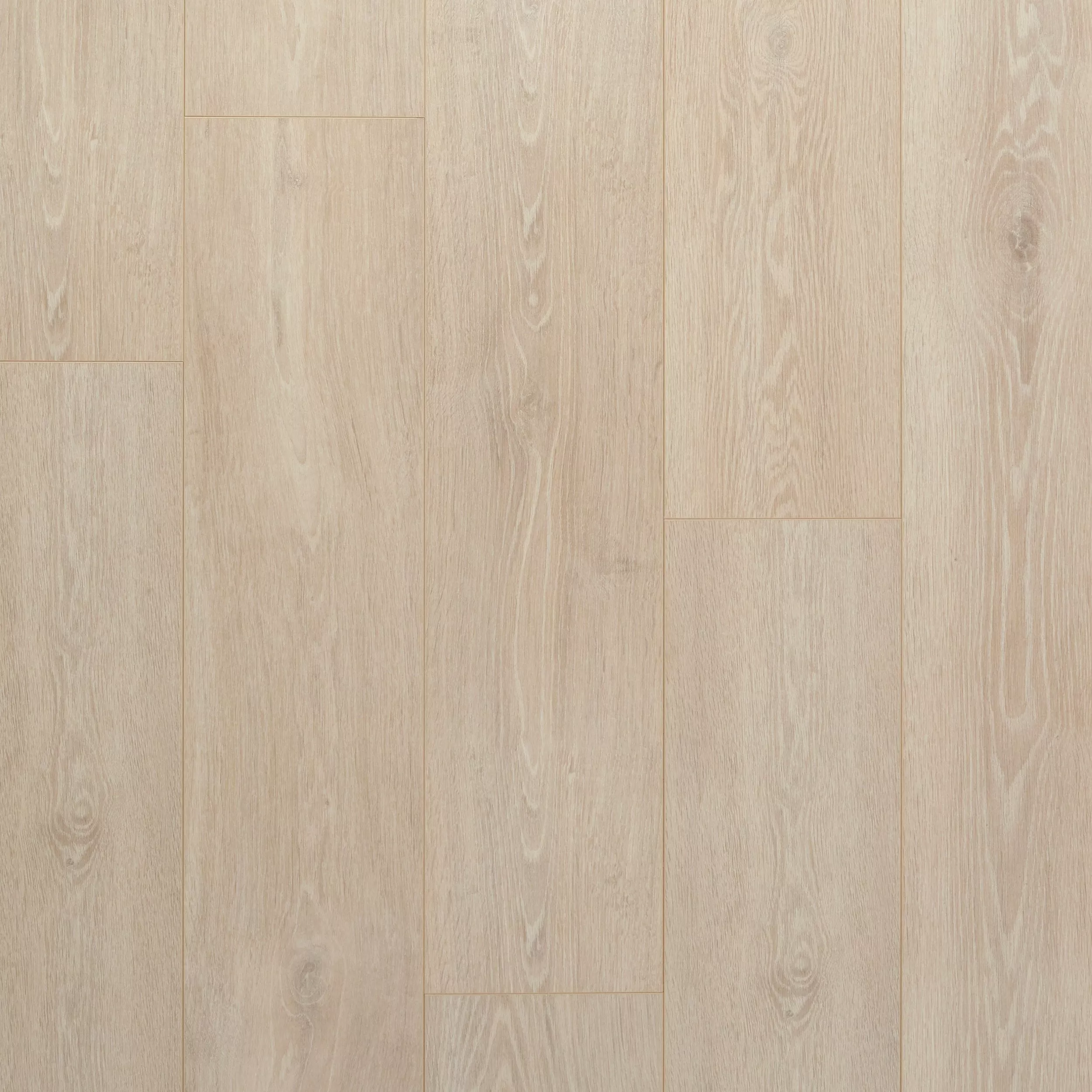 Maison Blanc Rigid Core Luxury Vinyl Plank - Cork Back