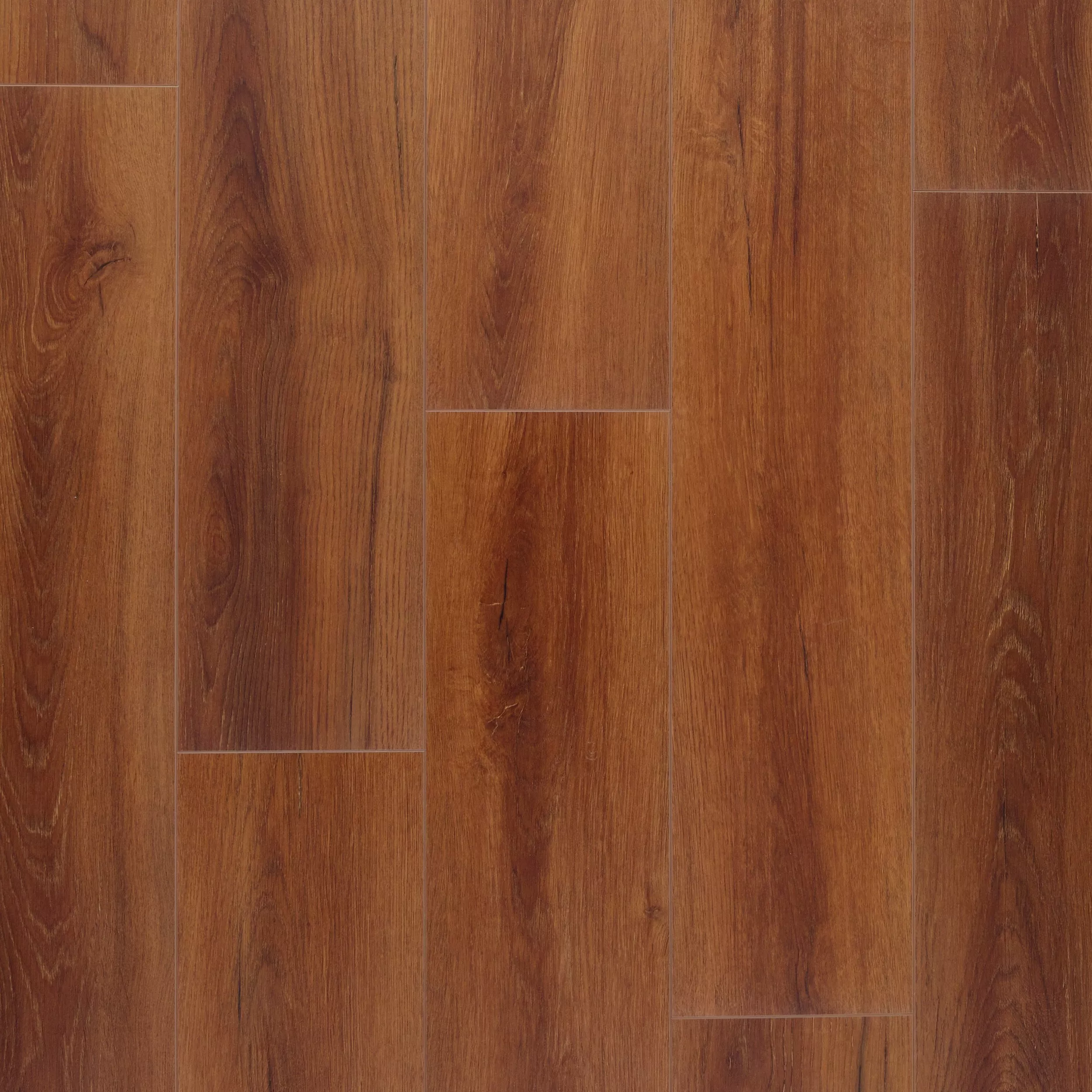 Maison Classico Rigid Core Luxury Vinyl Plank - Cork Back