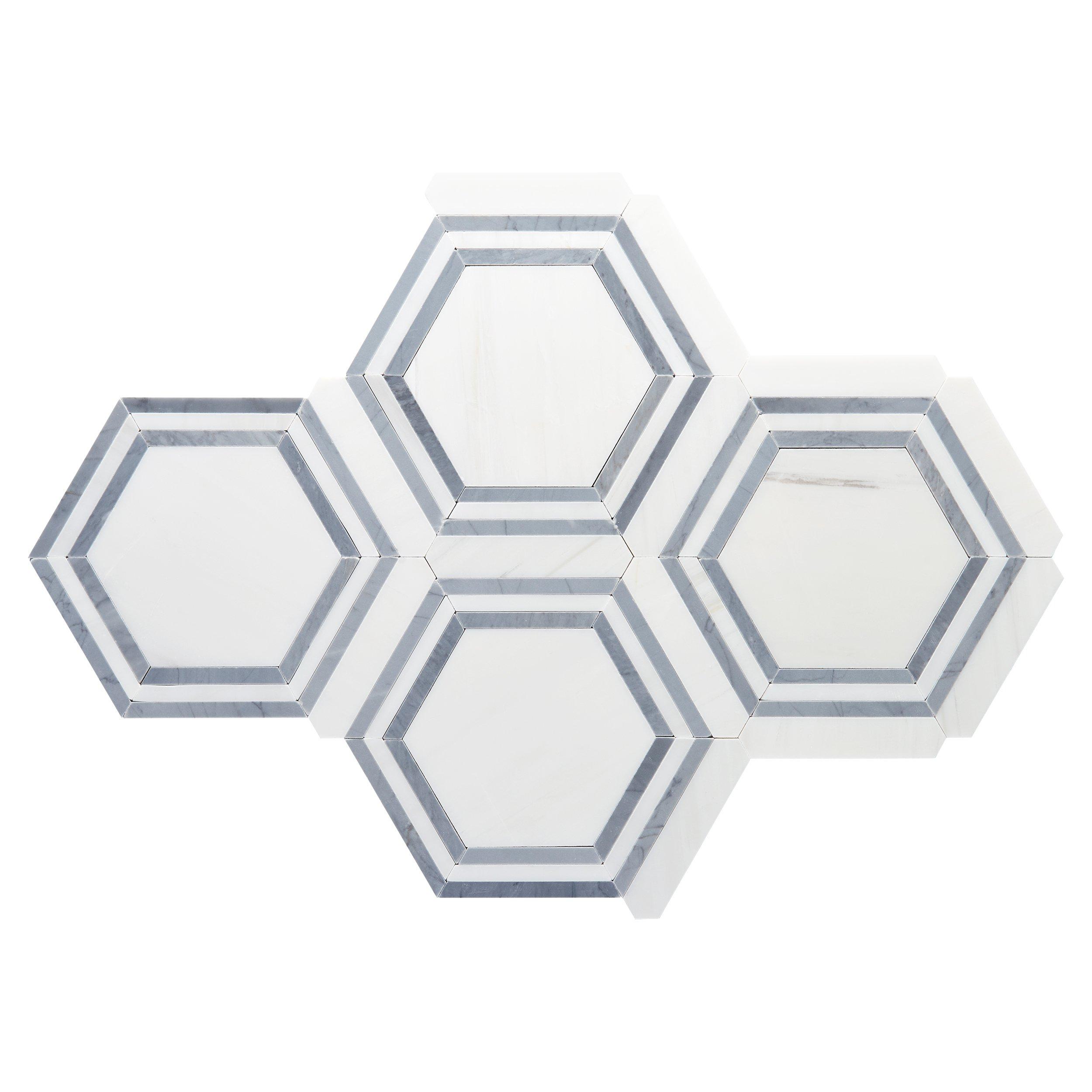 Dolomite Gray Framed Hexagon Marble Mosaic | Floor and Decor