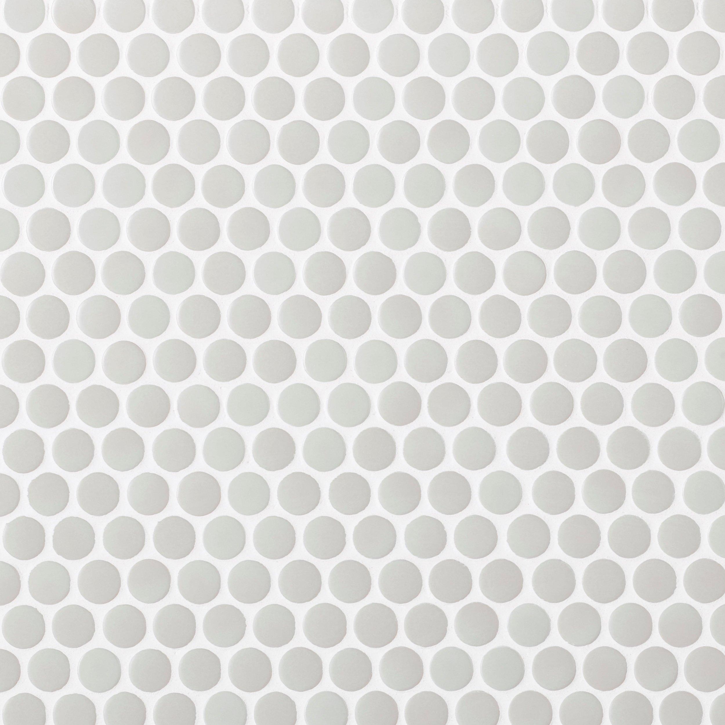 Aloe Penny Mixed Finish Porcelain Mosaic