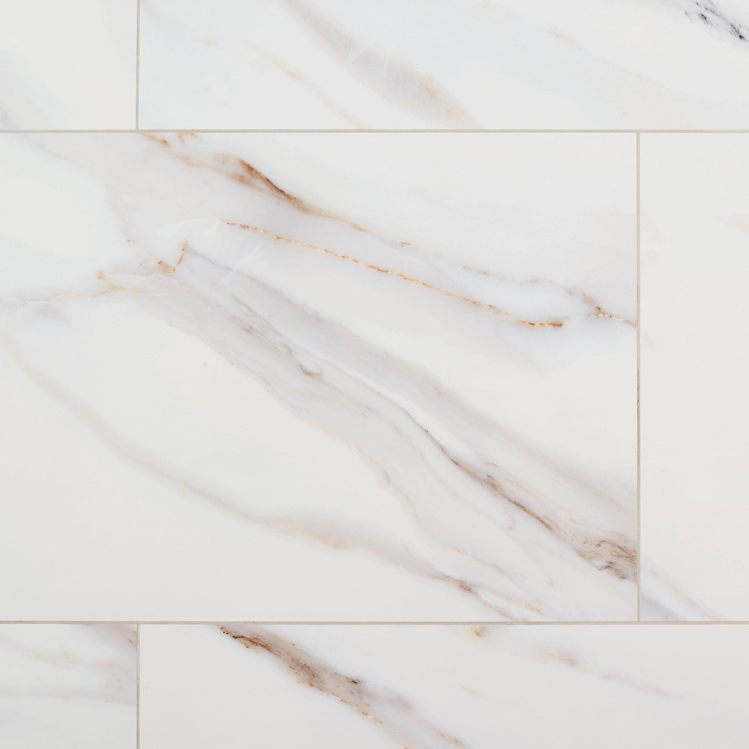 Leida Bianco Polished Porcelain Tile